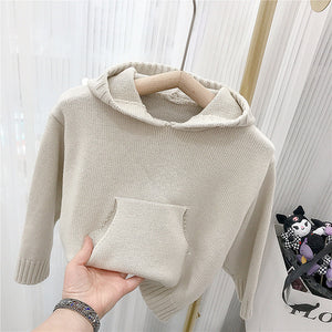 Hooded sweater with beige inside