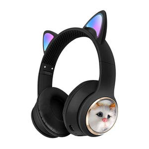 AKZ 09 Simulation Cat Black