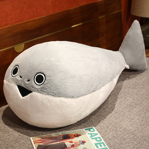 Flat nosed turtle