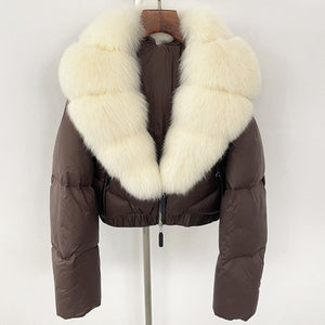 Brown Beige
