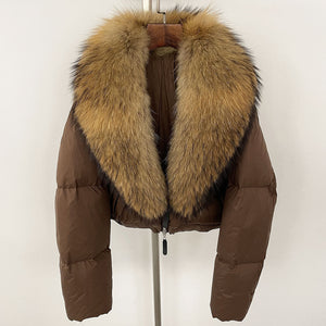 Brown Raccoon Fur