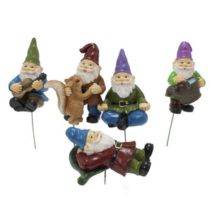 dwarf