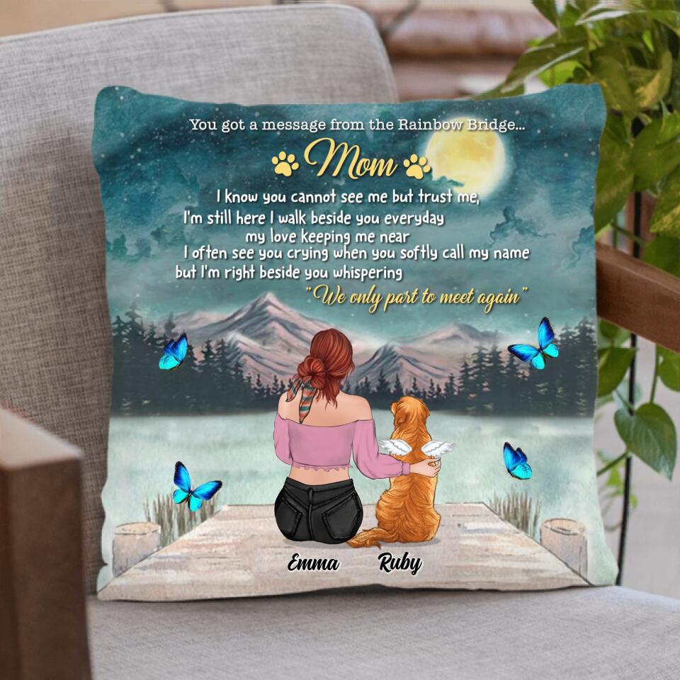 Personalized Memorial Dog/Cat Pillow Cover/Fleece Blanket/Quilt - Adult/Couple With Up to 5 Pets - Memorial Gift For Dog/Cat Lover - You Got A Message From The Rainbow Bridge