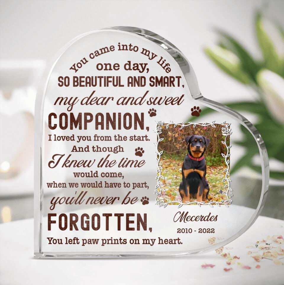 Personalized Photo Pet Loss Acrylic Plaque - Memorial Gift Idea For Pet Lover - Paw Prints On My Heart