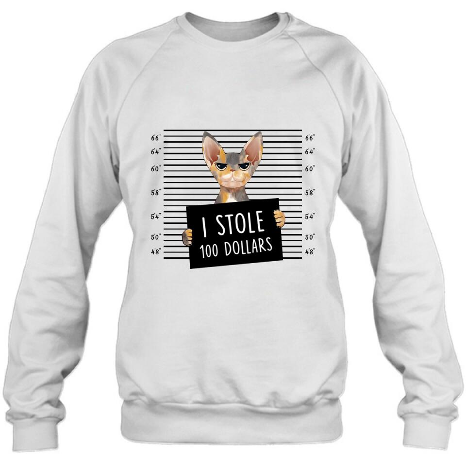 Personalized Bad Cat Shirt/Pullover Hoodie - Up to 2 Cats - Gift Idea For Cat Lover - Yes, We're Aware Of How Obnoxious
