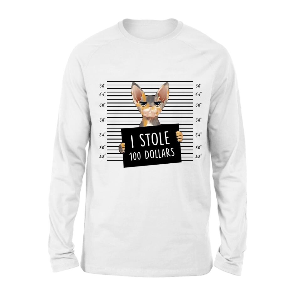 Personalized Bad Cat Shirt/Pullover Hoodie - Up to 2 Cats - Gift Idea For Cat Lover - Yes, We're Aware Of How Obnoxious