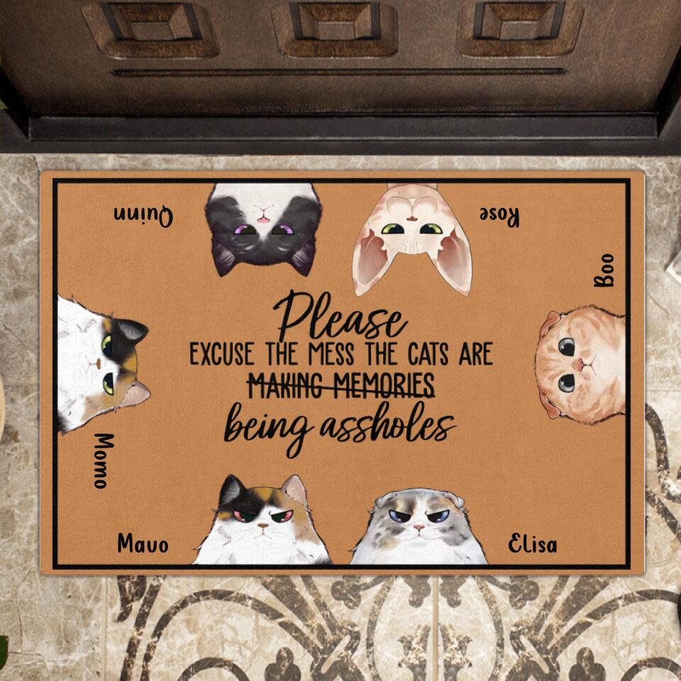 Personalized Cat Doormat - Up to 6 Cats - Gift Idea For Cat Lover - Please Excuse The Mess