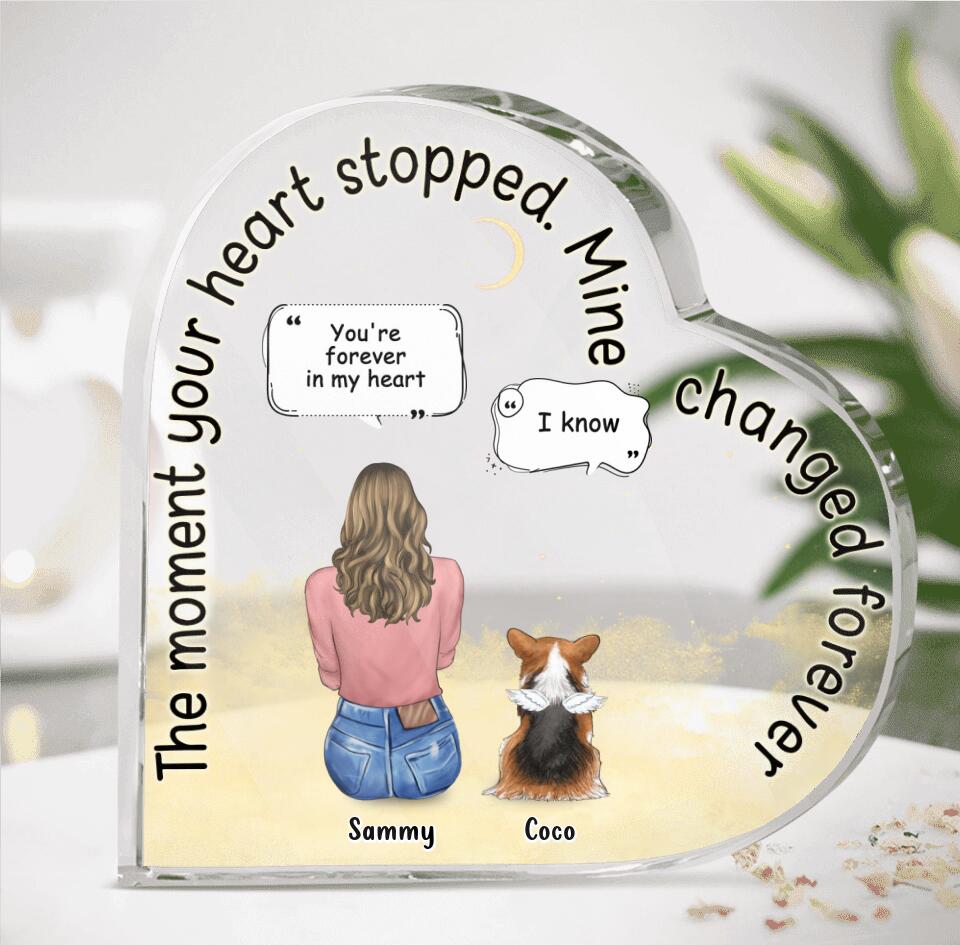 Personalized Memorial Pet Crystal Heart - Adult/Couple With Up to 4 Pets - Memorial Gift Idea For Dog/Cat Lover - The Moment Your Heart Stopped Mine Changed Forever