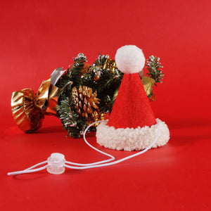 Santa's Hat