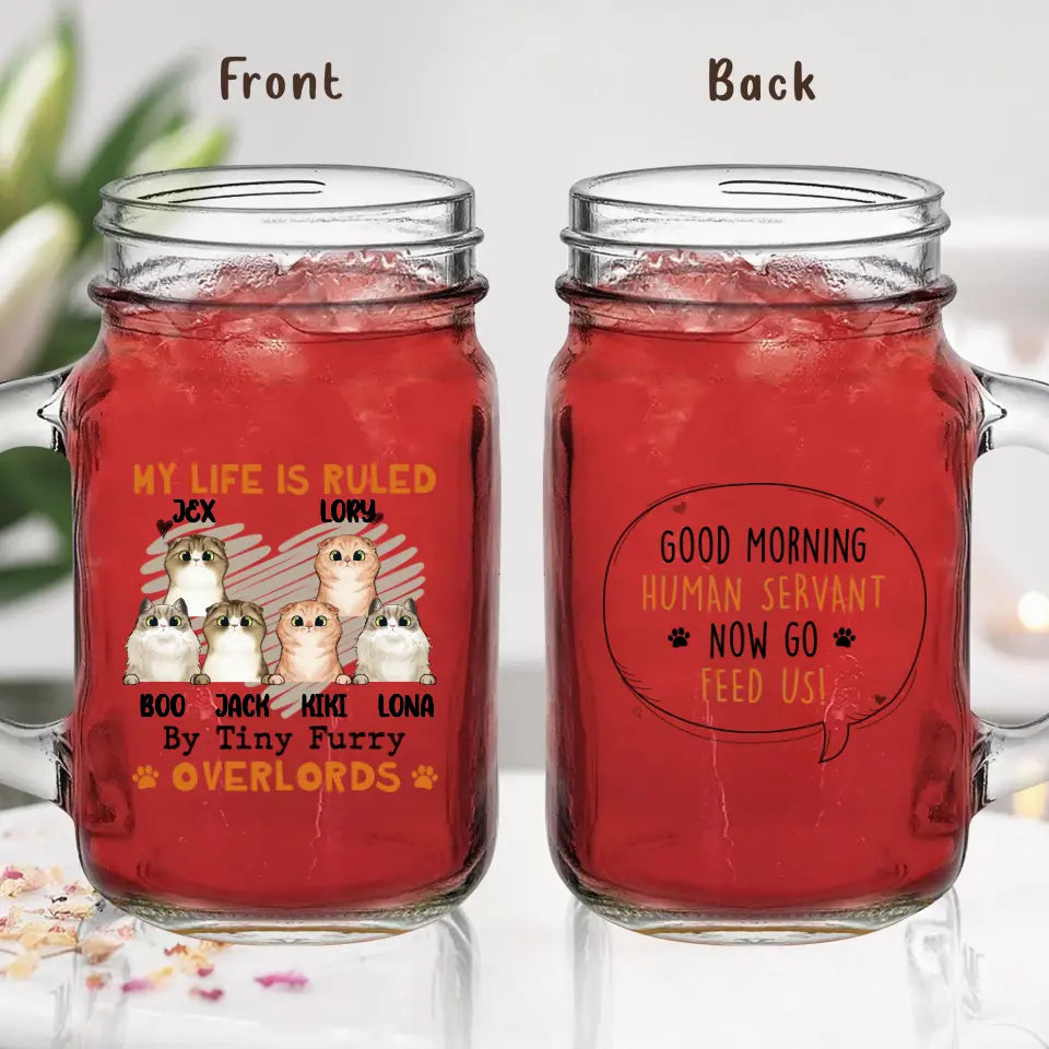 Personalized Cats Mason Jug - Up to 3 Cats - Best Gift Idea For Cat Lovers - Good Morning Human Servant Now Go Feed Us!