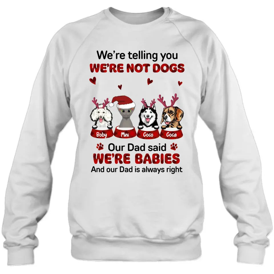 Personalized Pet Shirt/Hoodie - Gift Idea For Pet Lovers - Up to 4 Pets/Cats/Dogs - We're Telling You We're Not Dogs