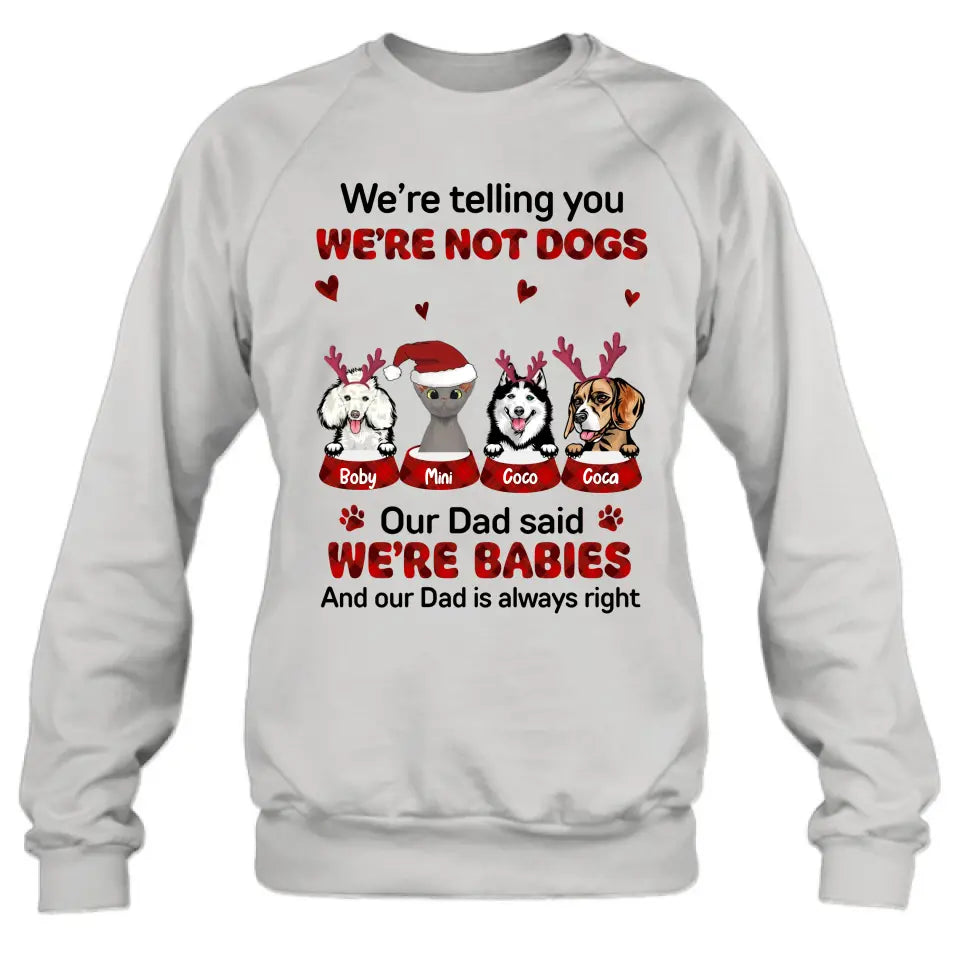 Personalized Pet Shirt/Hoodie - Gift Idea For Pet Lovers - Up to 4 Pets/Cats/Dogs - We're Telling You We're Not Dogs
