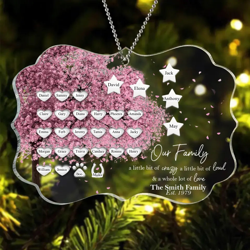 Personalized Family Tree Rectangle Acrylic Ornament - Up to 30 People/Pets - Gift Idea for Family - Our Family A Little Bit Of Crazy A Little Bit Loud & A Whole Lot Of Love