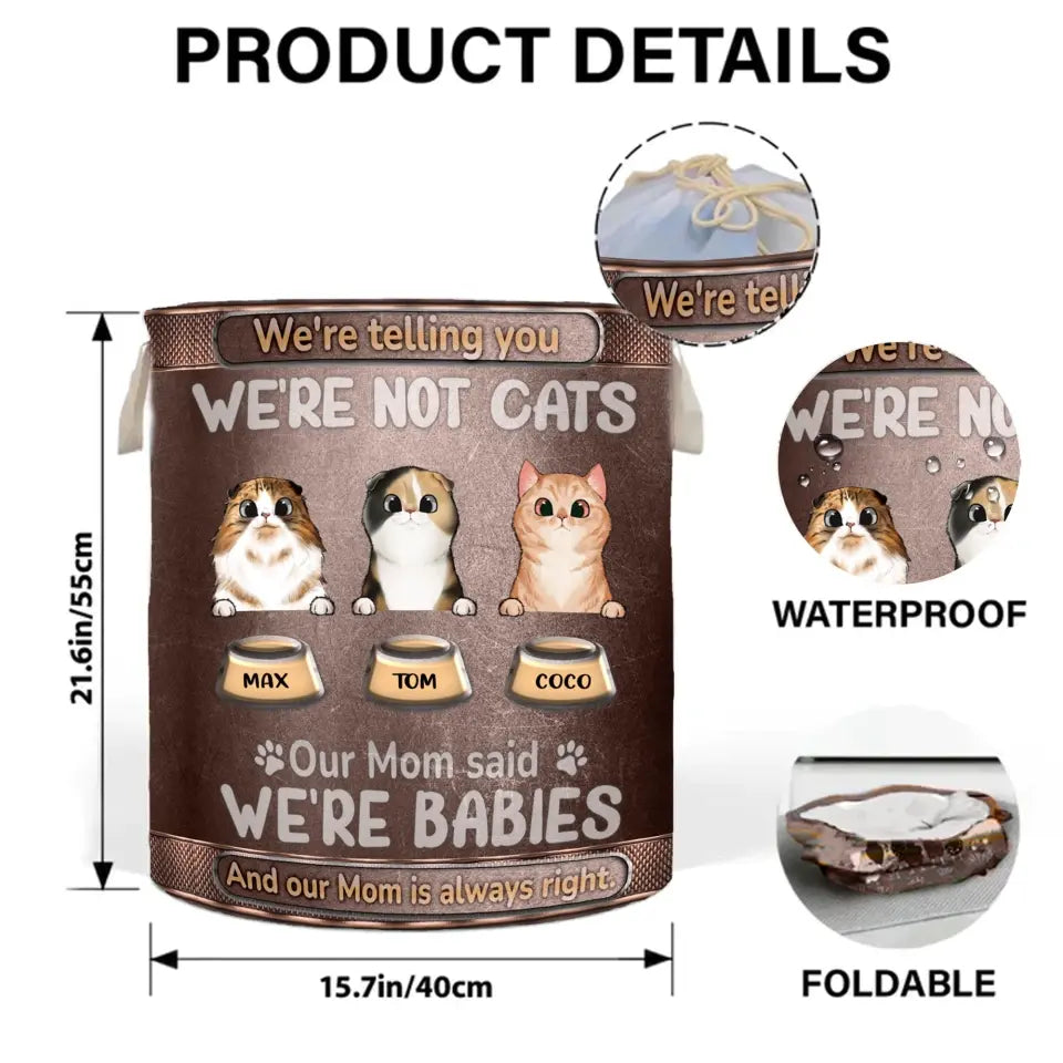 Personalized Pet Laundry Basket - Up to 10 Dogs/Cats - Gift Idea For Dog/Cat Lover - I'm Telling You I'm Not A Cat My Mom Said