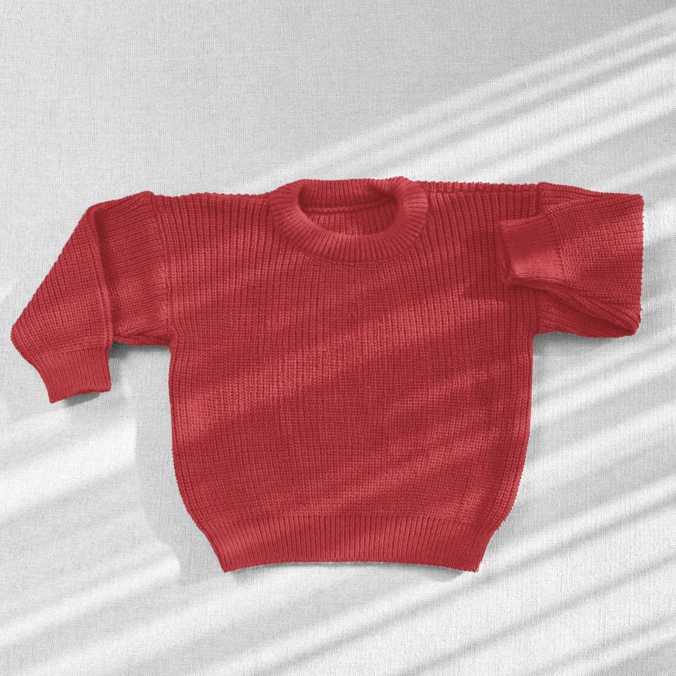 Personalized Hand Embroidered Baby and Toddler Sweaters - Protected By Dogs - Up to 3 Dogs
