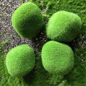 4-Pack Price 7cm Diameter Style A