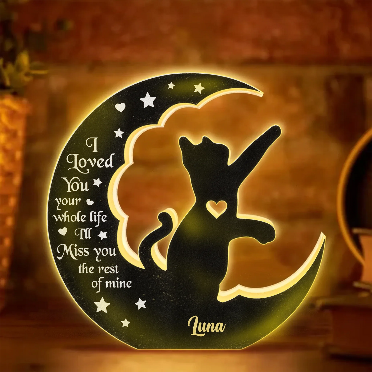 Personalized Cat Light Box - Memorial Gift Idea For Cat Lover - I Loved You Your Whole Life I'll Miss You The Rest Of Mine