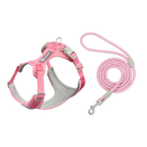 Sakura Pink Set