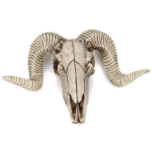 Sheep horns