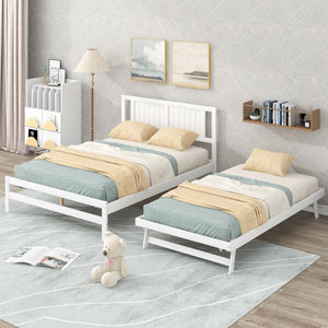 White + Pine