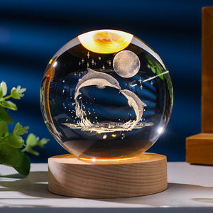Dolphins Watching the Moon