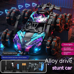 Purple 6wheel Dual Control