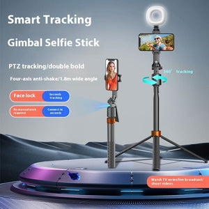 Q13 Fill Light Version