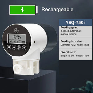 Lithium battery digital display