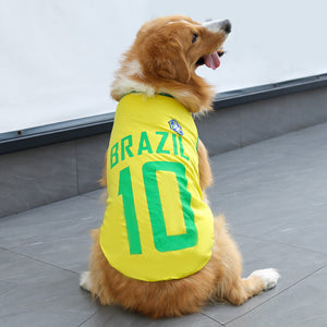 Yellow No.10 Brazil