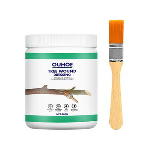 100g + brush