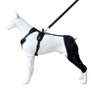 Black ( with 1.5m leash)