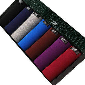 7raccoons 704set