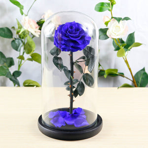 Royal blue