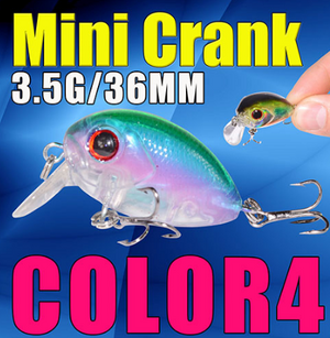 color 4