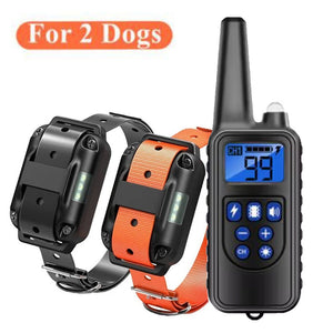 For 2 dogs-C