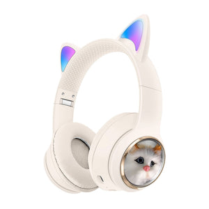 AKZ 09 simulation cat khaki color