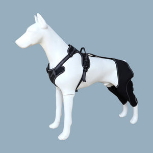 Black ( without leash)