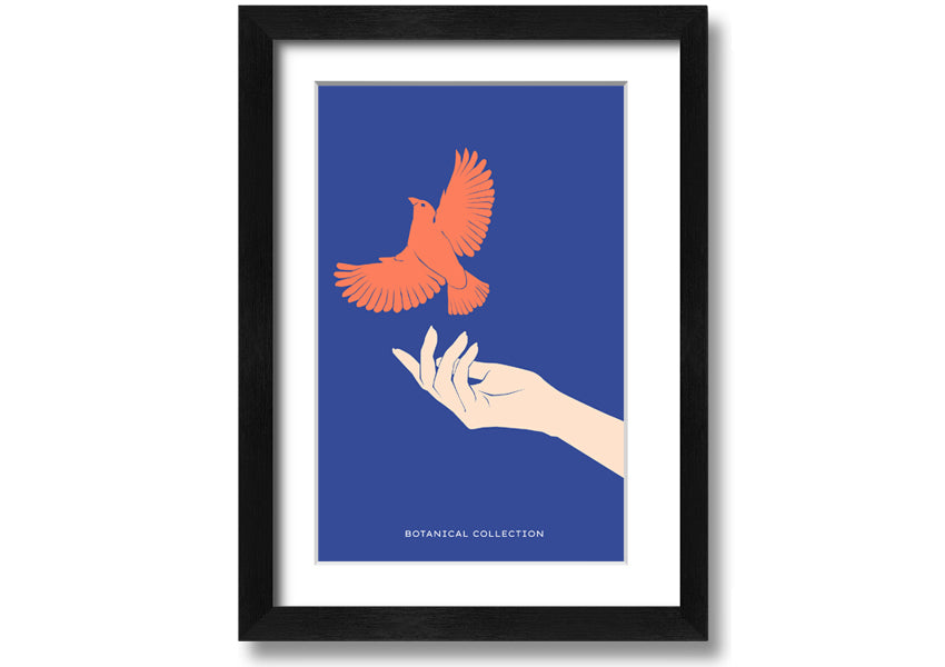 Dove From A Hand Flight