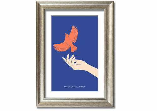Dove From A Hand Flight