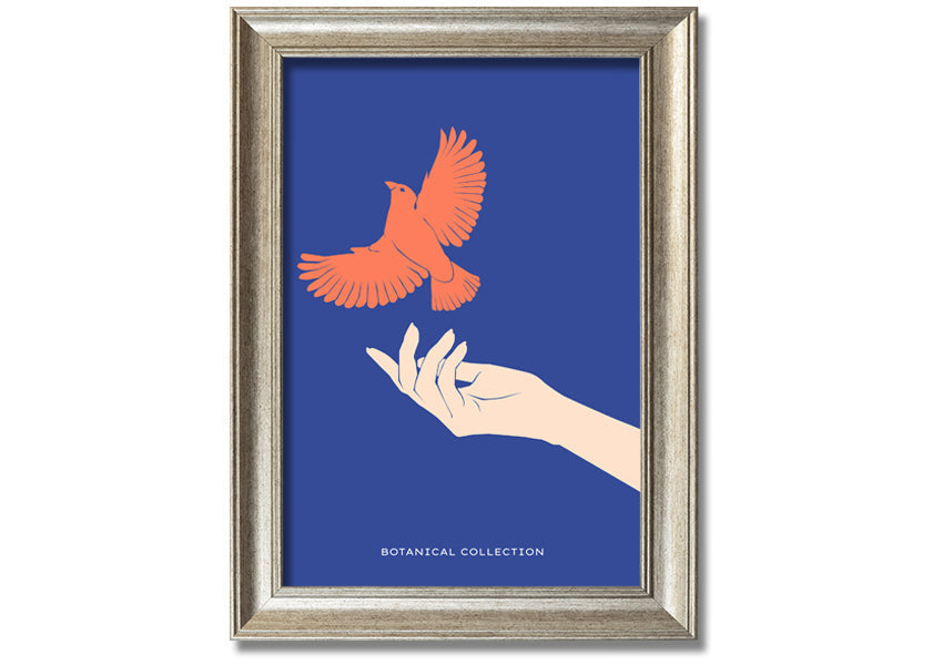 Dove From A Hand Flight