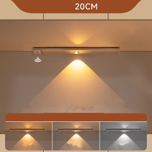 Silver tricolor light