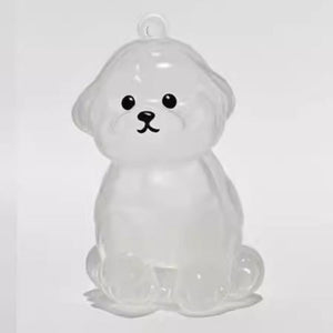 Bichon Frise