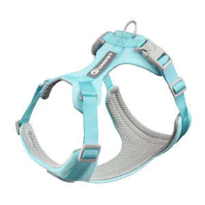 Tropical Orange Leash