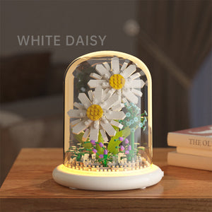 Chrysanthemum