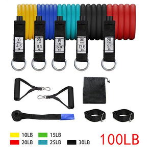 11PCS-100LB