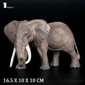 Elephant No Box