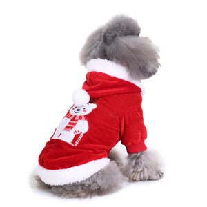 SDZ43 Christmas Bear