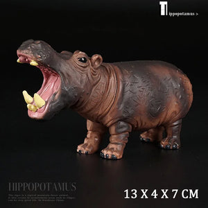 Hippo No Box