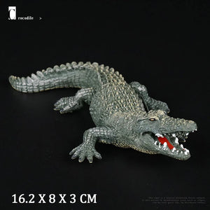 Crocodile No Box
