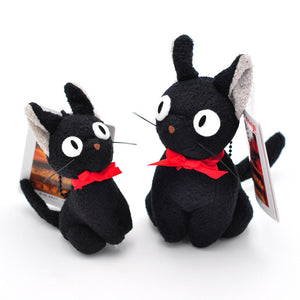 Black cat